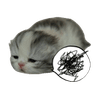 emojigg_cat