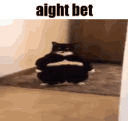 emojigg_Cat