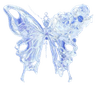 bbutterfly