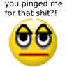 you_pinged_me_for_that_shit