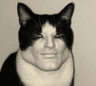 chbadcat