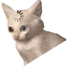 loading_cat_meme_2