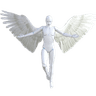wings