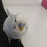 emoji_5