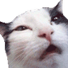 CatHead