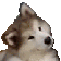 etcDoggoWonder