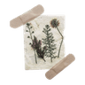 5d_note