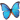 z5_butterfly
