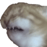 emoji_364
