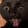 AHHHHHH