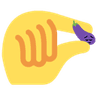 smolpp