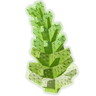 RomanescoProduce