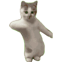 emoteacatdance