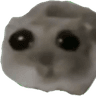 d_1Hamshy