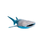 Venus_Shark