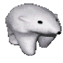 polarbear