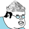 TinfoilHat