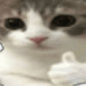 cat_catthumbsup