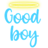 GoodBoy