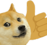 Dogethumbsup