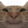cat2_correct