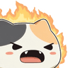cat_angry