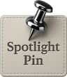 cleaned_spotlight_pinfs