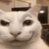 emoji_357