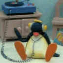 74798pingudj