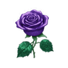 fHIkBhRIU8nobackgroundKTsFzvIUgn