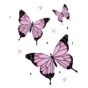 47599butterflies