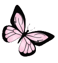 55926butterfly