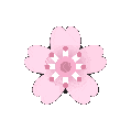 99088cherryblossomspin