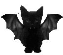 black_batcat