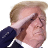TrumpSalute