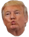 TrumpKiss