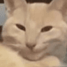 emoji_137