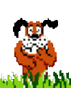 DuckHunt