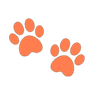 9184orangepawprints