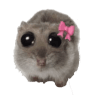 hamsterBow
