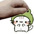 379546petfroggykitty