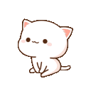 25784waitingpeachcat