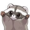 RaccoonUppies