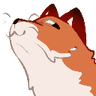 foxsmug