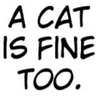 A_Cat_Is_Fine_too