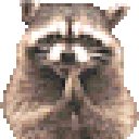 raccoon_excellent_yes_think