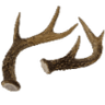 9e_deerAntlers