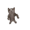 catdance