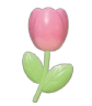 8_tulip