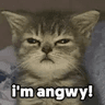 angwy